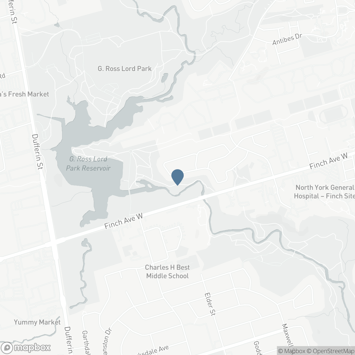 169 ROBERT HICKS DRIVE, Toronto, Ontario M2R 3R3